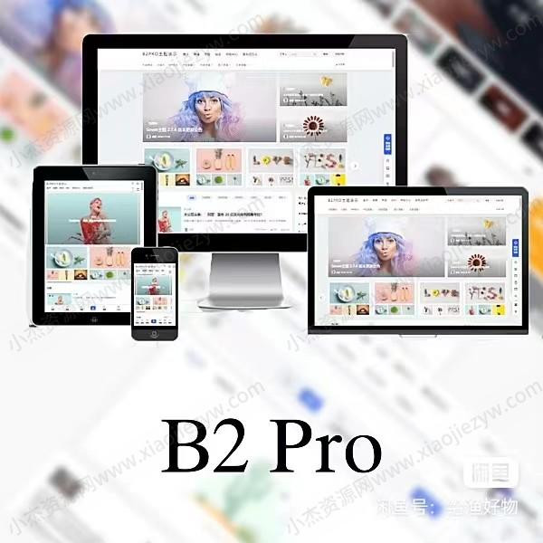 WordPress B2 Pro 主题5.2.0最新开心版,附带官方包体与授权文件