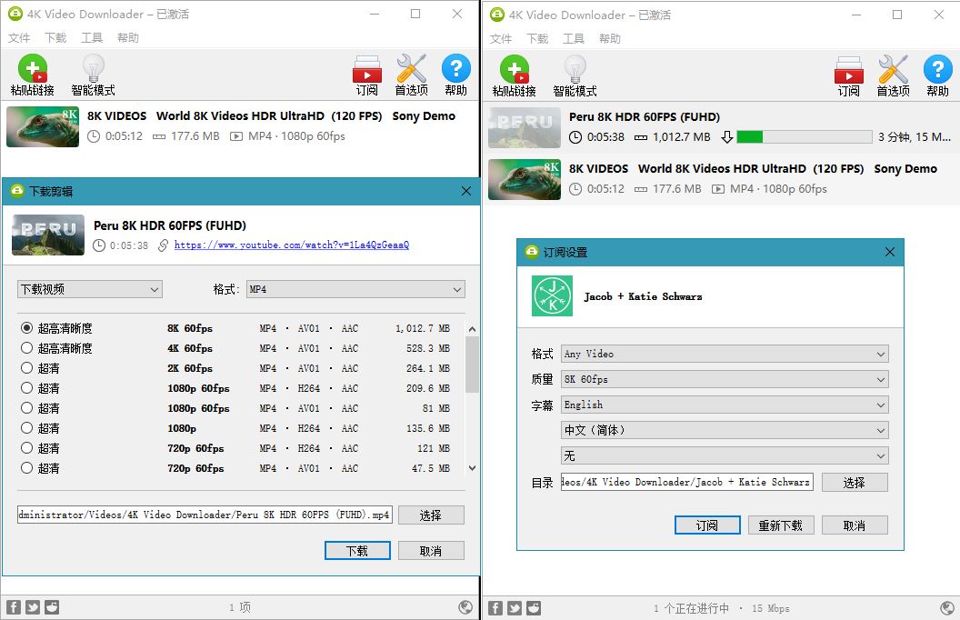 4K Video Downloader v4.20.2